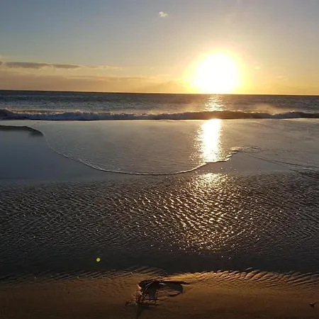 Studio Cythere - La Plage *